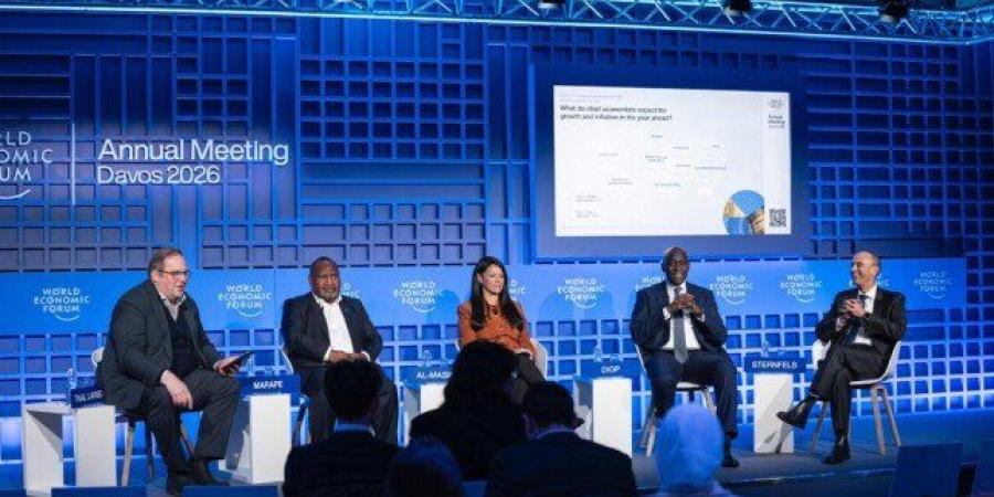 المشاط: مصر قدمت نموذجًا في مرونة التعامل مع الأزمات بإصلاحات جوهرية منذ مارس 2024 - جريدة هرم مصر