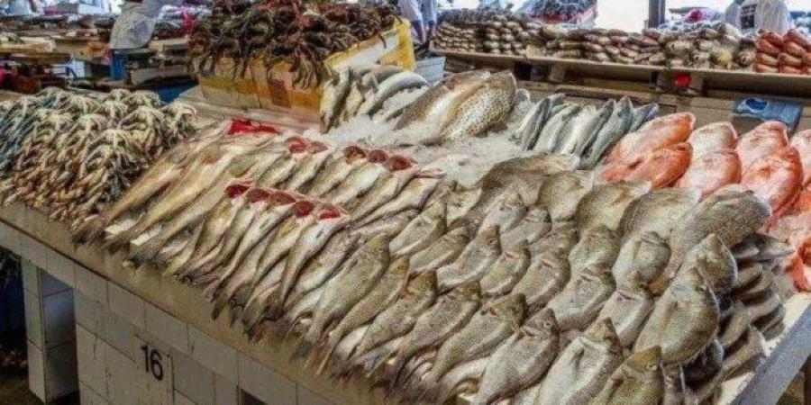 أسعار الأسماك اليوم الخميس 22 يناير 2026 - جريدة هرم مصر