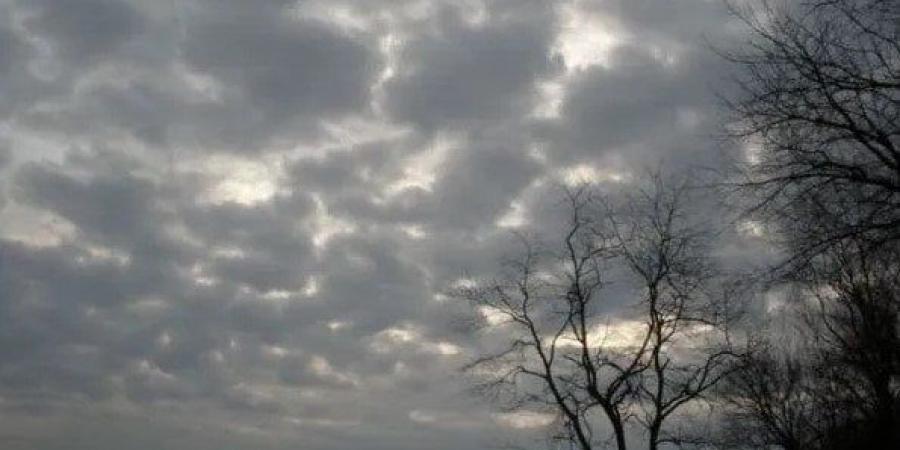 حالة الطقس غدًا الجمعة.. شديد البرودة صباحًا والعظمى 21 درجة في القاهرة - جريدة هرم مصر