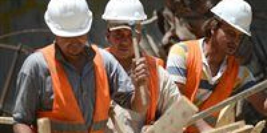 اقتصادي: توطين الصناعة بوابة مصر للسيادة الاقتصادية - جريدة هرم مصر