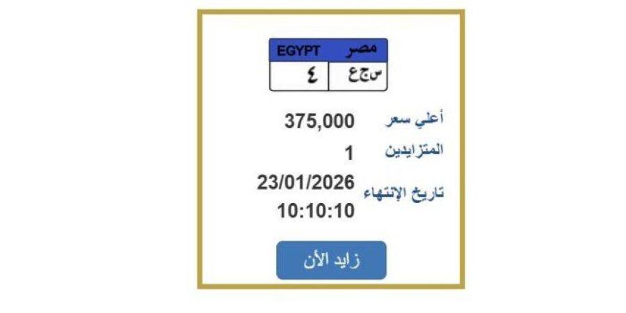 خطوة بخطوة.. كيفية الحصول على لوحة سيارة مميزة «أونلاين» - جريدة هرم مصر