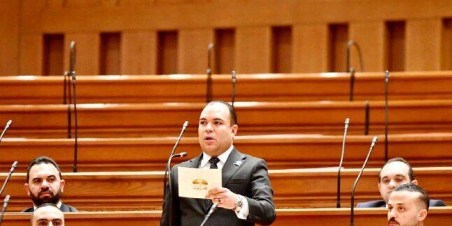 نائب: الدبلوماسية المصرية نموذج للتوازن والاعتدال.. ومجلس السلام يعزز دورها الدولي - جريدة هرم مصر