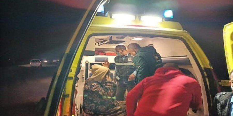 جريمة تهز الغربية.. شقيقان ينهيان حياة والدهما بـ 8 طعنات بسبب خلافات زوجاتهما بزفتى - جريدة هرم مصر