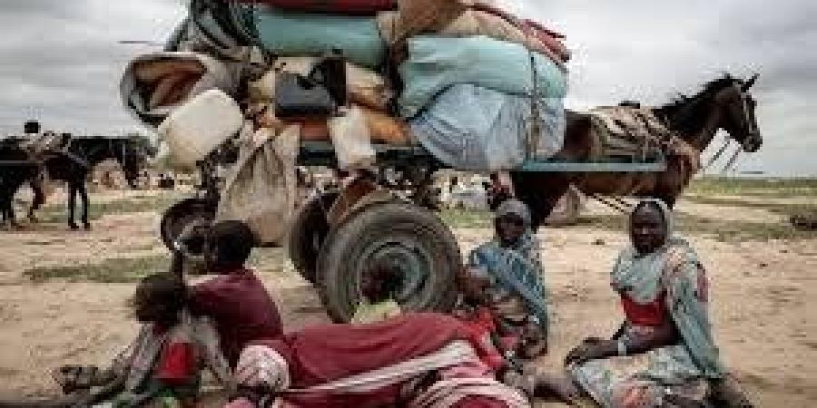 "اليونيسيف": ظروف إنسانية قاسية يعيشها الأطفال في إقليم دارفور - جريدة هرم مصر