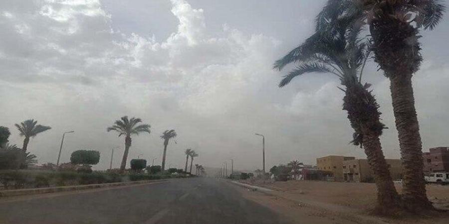 حالة الطقس اليوم الجمعة 23 يناير 2026.. الأرصاد تعلن أماكن نشاط الرياح والأتربة ودرجات الحرارة - جريدة هرم مصر
