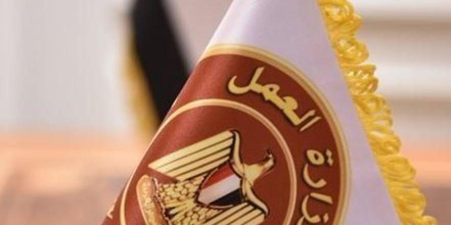 برواتب تصل لـ 11 ألف جنيه.. وزارة العمل تعلن عن 32 وظيفة جديدة - جريدة هرم مصر