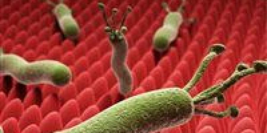 جرثومة المعدة تكشف أسرارها: الأسباب وأفضل طرق لعلاجها - جريدة هرم مصر