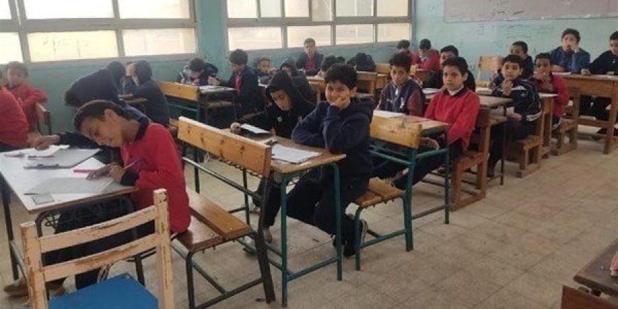 نتيجة الصف الثالث الابتدائي برقم الجلوس 2026.. استعلم الآن عبر موقع الوزارة - جريدة هرم مصر