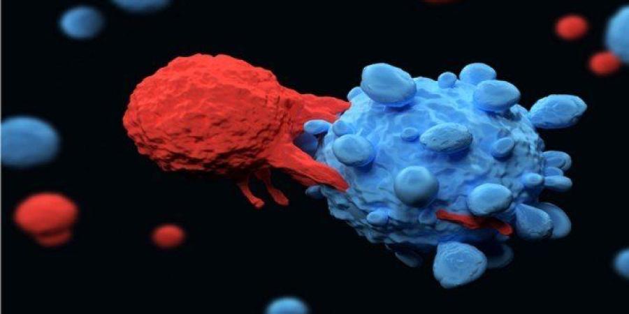 علماء كنديون يبتكرون طريقة لتوسيع العلاج الخلوي للسرطان وجعله متاحاً للجميع - جريدة هرم مصر