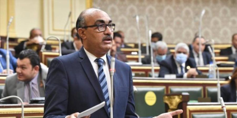 إيهاب منصور نائب رئيس الهيئة البرلمانية للحزب المصري الديمقراطي لـ"صوت الأمة": المعارضة ليست "كتلة صماء" ولا نمارس معارضة من أجل المعارضة - جريدة هرم مصر