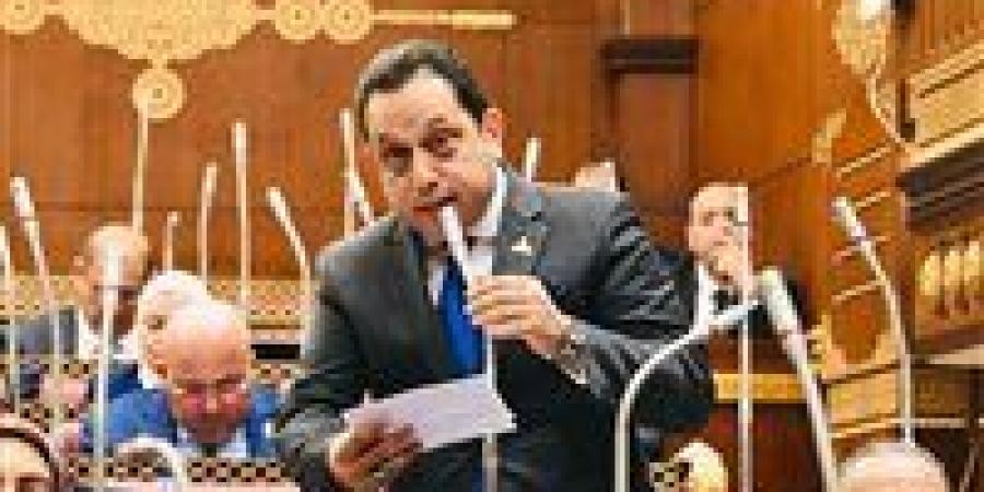 النائب محمد الجندي: تصريحات الرئيس السيسي تبرز دور قوات الداخلية في حماية مصر وشعبها - جريدة هرم مصر