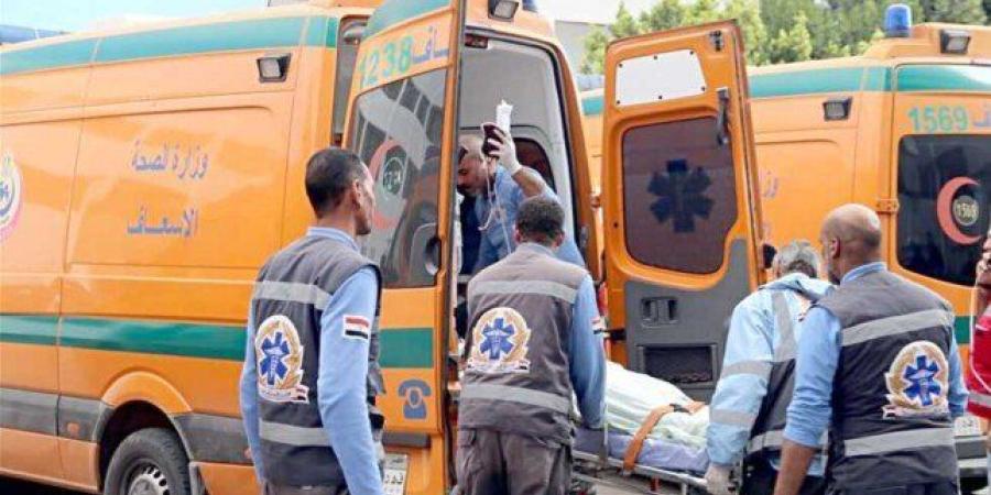إصابة 11 شخص إثر حادث تصادم ميكروباص بعمود إنارة في الفيوم - جريدة هرم مصر
