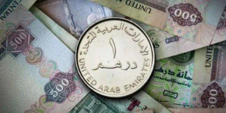 سعر الدرهم الإماراتي في مصر اليوم.. السبت 24 يناير 2026 - جريدة هرم مصر