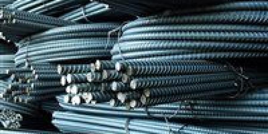 3000 جنيه زيادة بسعر طن الحديد .. اسعار الحديد اليوم حديد عز - جريدة هرم مصر