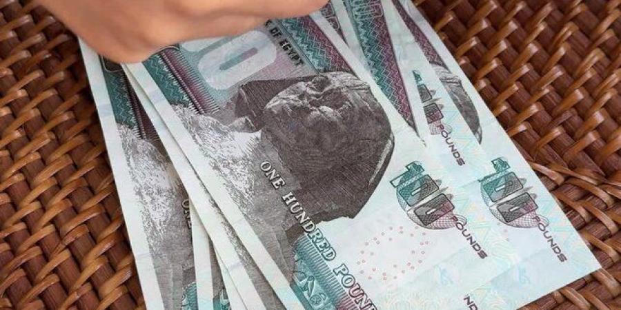 بعائد 18%.. بنك ناصر ينفرد بطرح شهادات ادخار لمدة سنة واحدة - جريدة هرم مصر