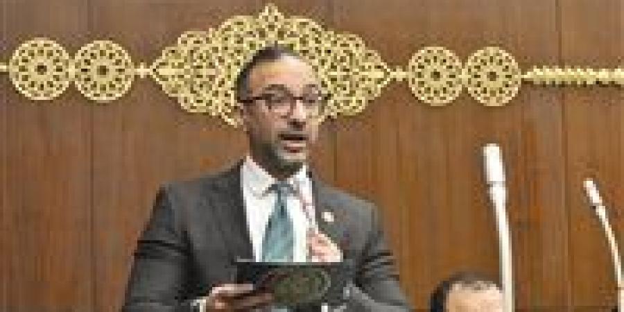 الحمامصي: رسائل الرئيس السيسي في عيد الشرطة تحصّن الدولة وتؤكد وحدة الصف - جريدة هرم مصر