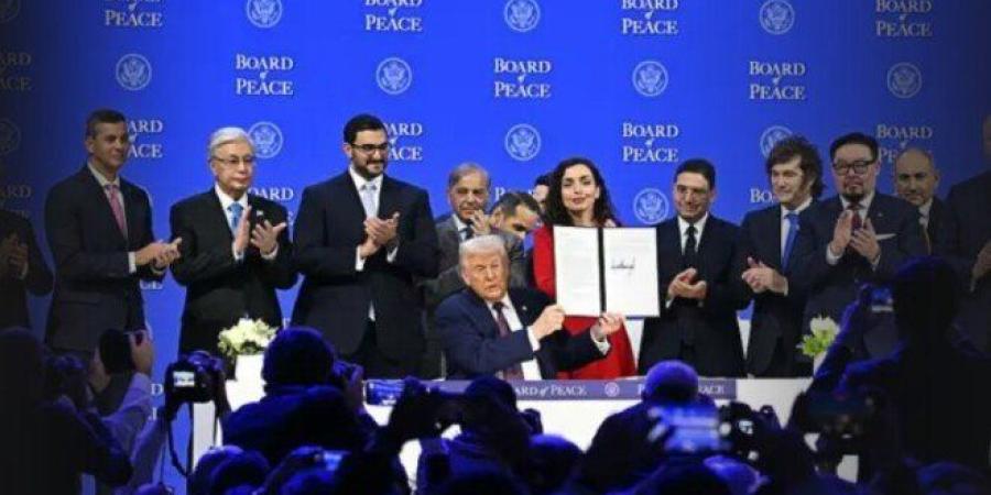 طارق فهمي: دعوة مصر لمجلس السلام مرتبطة بدورها المحوري في قطاع غزة - جريدة هرم مصر