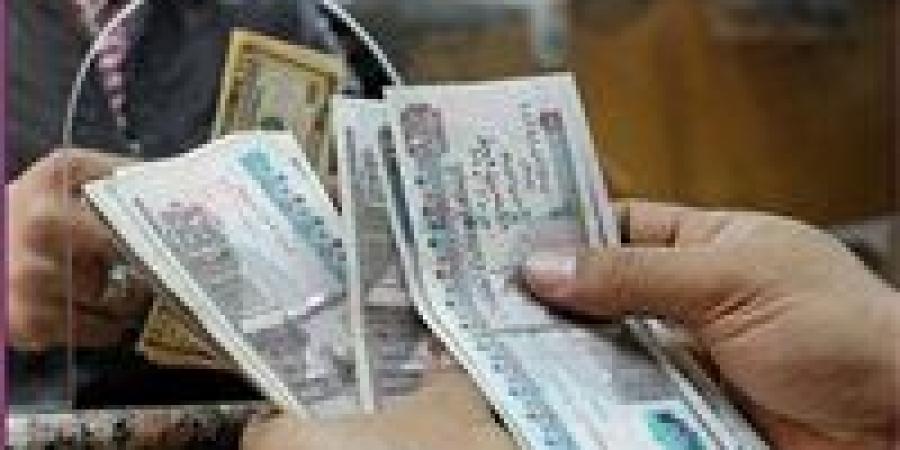 معاش فبراير 2026 على الأبواب.. تفاصيل الاستحقاق وما تغير - جريدة هرم مصر