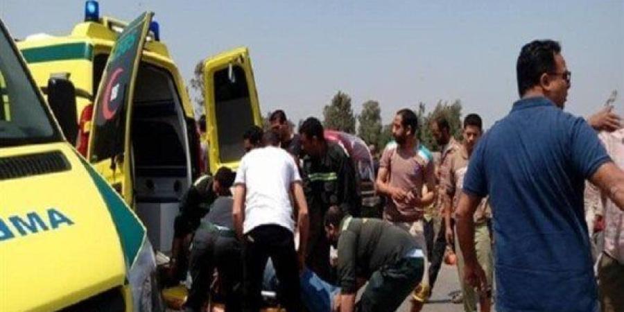أحدهما طفل.. مصرع شخصين وإصابة ثالث في حادث تصادم مروع بـ "سمالوط" بالمنيا - جريدة هرم مصر