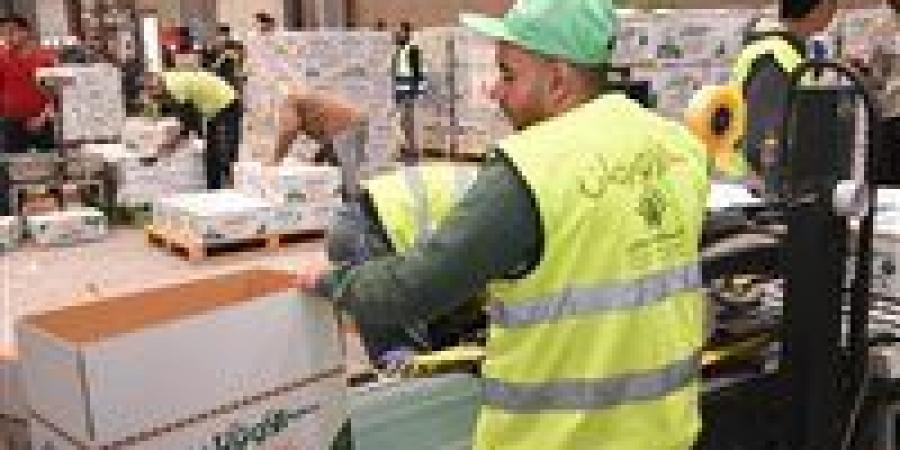لتوزيعها فى شهر رمضان 2026 .. البدء فى تجهيز وتعبئة عدد 35 ألف كرتونة مواد غذائية بالشرقية - جريدة هرم مصر