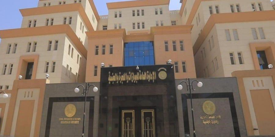 بعد رصد الحالات الإنسانية.. «الجوازات» تواصل إجراءات تسهيل الحصول على خدماتها - جريدة هرم مصر