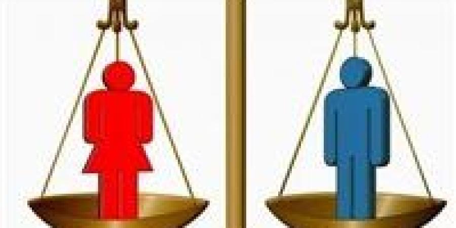 جدل منع السيدات من الإقامة في الفنادق أقل من 4 نجوم بين الدستور وحقوق المرأة.. ونواب يؤكدون: مخالفة واضحة للدستور ويجب توضيح من وزارة السياحة - جريدة هرم مصر