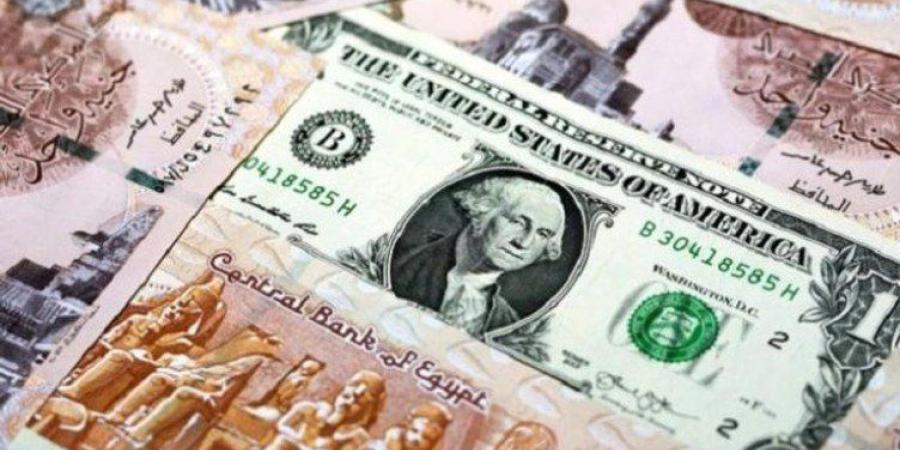 الجنيه يقاوم التراجع.. سعر الدولار في مصر اليوم الأحد 25 يناير 2026 - جريدة هرم مصر