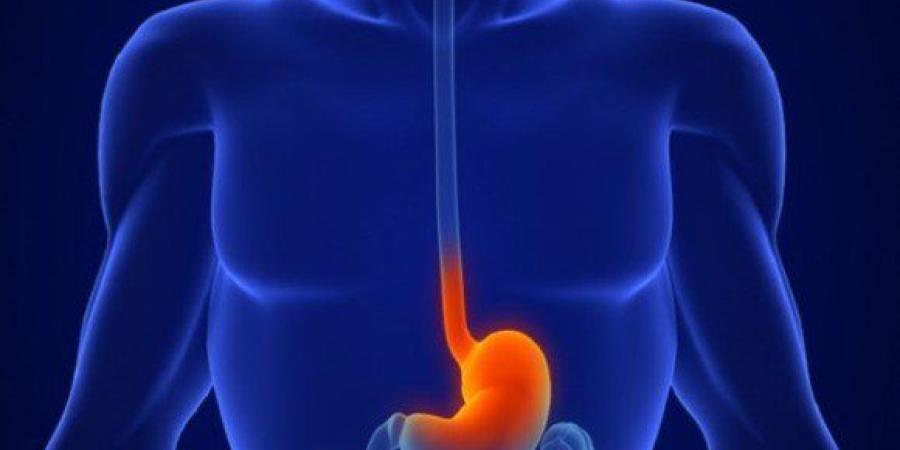 دراسة: العلاج الكيميائي يعزز دور ميكروبات الأمعاء في مكافحة انتشار الأورام الثانوية - جريدة هرم مصر