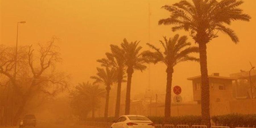 برودة ونشاط للرياح.. «الأرصاد الجوية» تحذر من حالة الطقس اليوم الأحد 25 يناير 2026 - جريدة هرم مصر