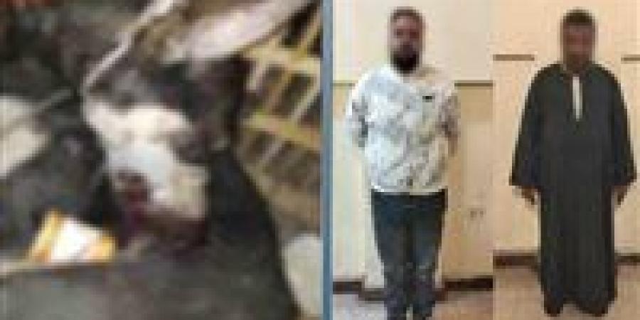 ضبط شخصين احتجزا كلب والتعدي عليه في القاهرة - جريدة هرم مصر