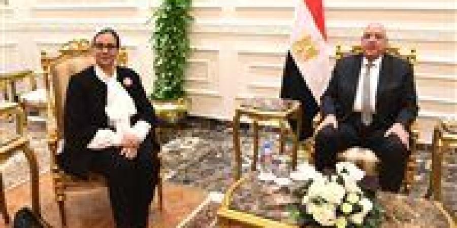 رئيسة المجلس القومي للمرأة تقدم التهنئة للمستشار هشام بدوي - جريدة هرم مصر