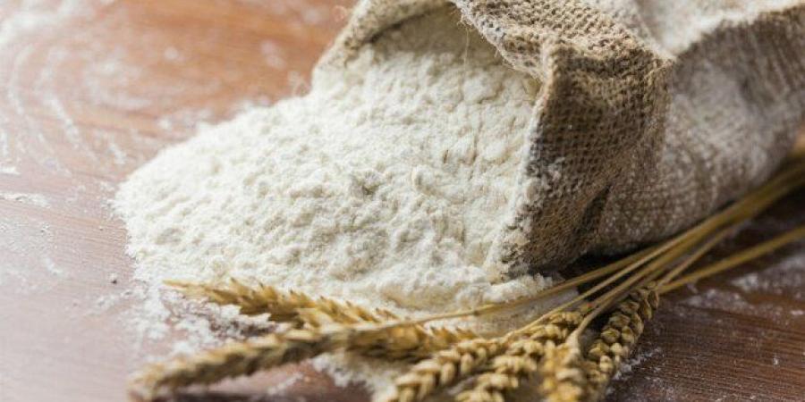 630 ألف طن واردات مصر من القمح في يناير.. كم سعر طن الدقيق قبل رمضان؟ - جريدة هرم مصر