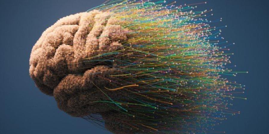 السمنة وارتفاع ضغط الدم يرفعان خطر الإصابة بالخرف - جريدة هرم مصر