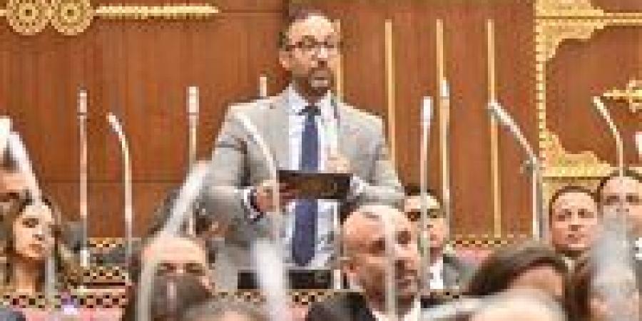 الحمامصي يقترح إشراك القطاع الخاص في معاهد التمريض لسد العجز ورفع كفاءة المنظومة الصحية - جريدة هرم مصر