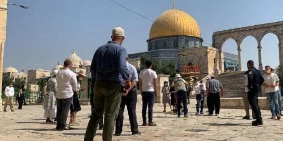 عشرات المستعمرين يقتحمون الأقصى المبارك في حماية شرطة الاحتلال الإسرائيلي - جريدة هرم مصر