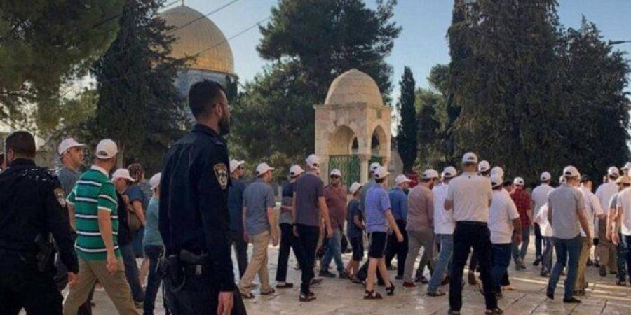 وسط حماية قوات الاحتلال.. مستوطنون يقتحمون باحات المسجد الأقصى - جريدة هرم مصر