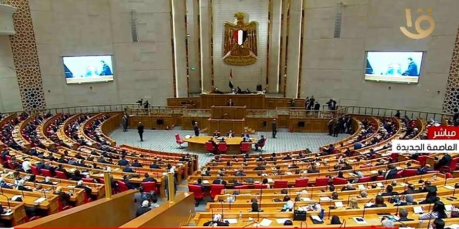 خلال لجانه المختصة .. النواب يبدأ حوارا مجتمعيا مع متخصصين حول ضوابط استخدام الأطفال مواقع التواصل - جريدة هرم مصر