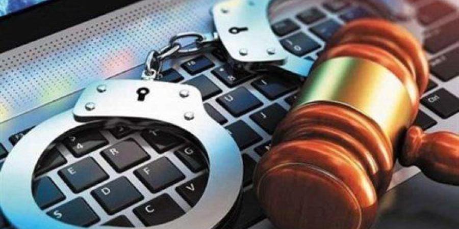 بالفيديو.. مجلس الوزراء: مصر تتحول من أعلى الدول في معدلات الجريمة لأكثر الدول أمانًا خلال 10 سنوات - جريدة هرم مصر