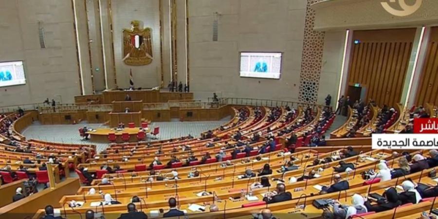 حماية القيم الدستورية والأخلاقية.. كيف تشكل لجنة القيم بمجلس النواب؟ - جريدة هرم مصر