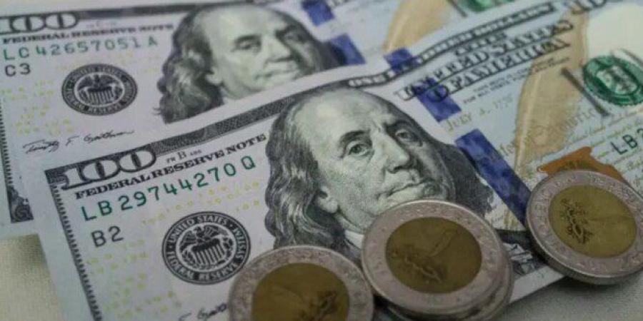 سعر الدولار مقابل الجنيه المصري اليوم الأحد 25 يناير 2026.. الأخضر بكام؟ - جريدة هرم مصر