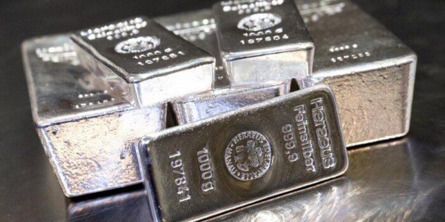 سعر سبيكة الفضة 10 جرام btc اليوم الأحد 25 يناير 2026 - جريدة هرم مصر