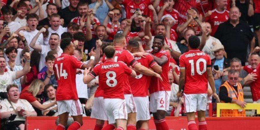 بث مباشر.. شاهد مباراة نوتنجهام وبرينتفورد في الدوري الإنجليزي - جريدة هرم مصر