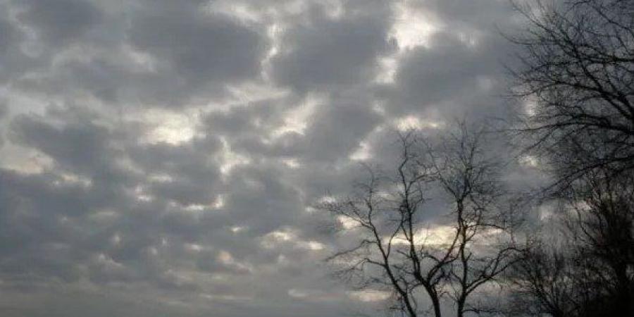 الأرصاد: طقس اليوم شديد البرودة ليلا والصغرى بالقاهرة تصل لـ 12 درجة - جريدة هرم مصر