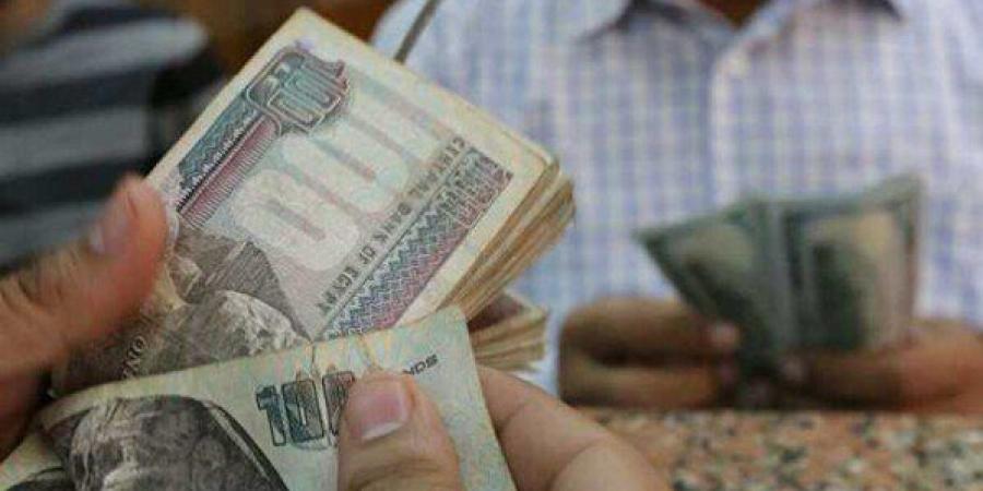 البنك الأهلي المصري.. عوائد استثمار 100 ألف جنيه في شهادات الادخار - جريدة هرم مصر