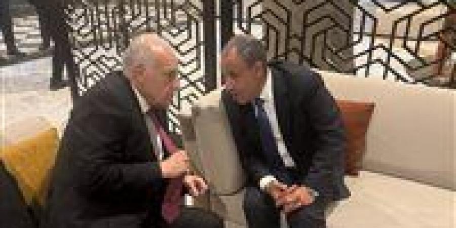 وزير الخارجية لـ نظيره الجزائري: نرفض أي تدخلات خارجية في ليبيا - جريدة هرم مصر