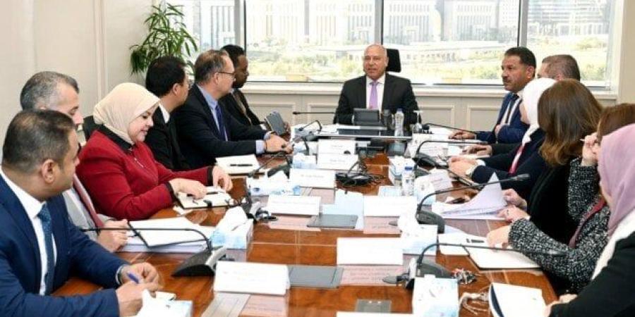 كامل الوزير يبحث مع إيليت سولار تعزيز إنتاج الطاقة الشمسية وتعميق التصنيع المحلي - جريدة هرم مصر