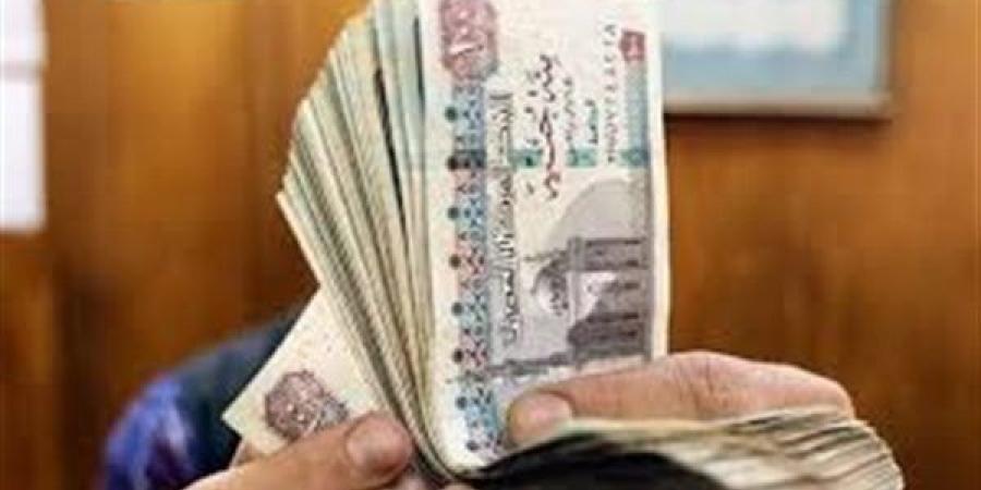 موعد صرف معاشات فبراير 2026 بعد قرار هيئة التأمنيات الاجتماعية - جريدة هرم مصر