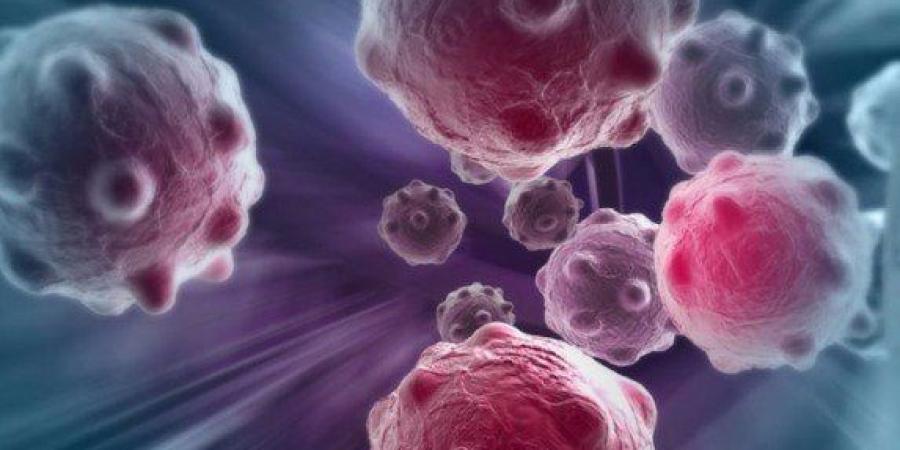 دراسة تحدد مجموعة الخلايا السرطانية المحورية التي تقود نمو السرطان ومقاومة الأدوية - جريدة هرم مصر