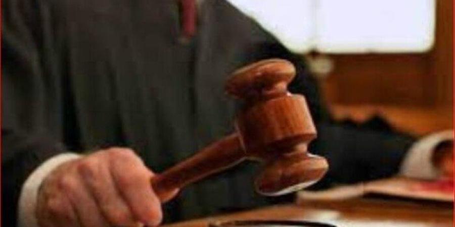 المشدد 15 عاماً لمتهم بتزوير محررات رسمية بـ "بني مزار" في المنيا - جريدة هرم مصر