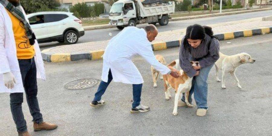 «بيطري المنيا» يطلق حملة لتحصين وتعقيم الكلاب الحرة ضمن «مصر خالية من السعار 2030» - جريدة هرم مصر